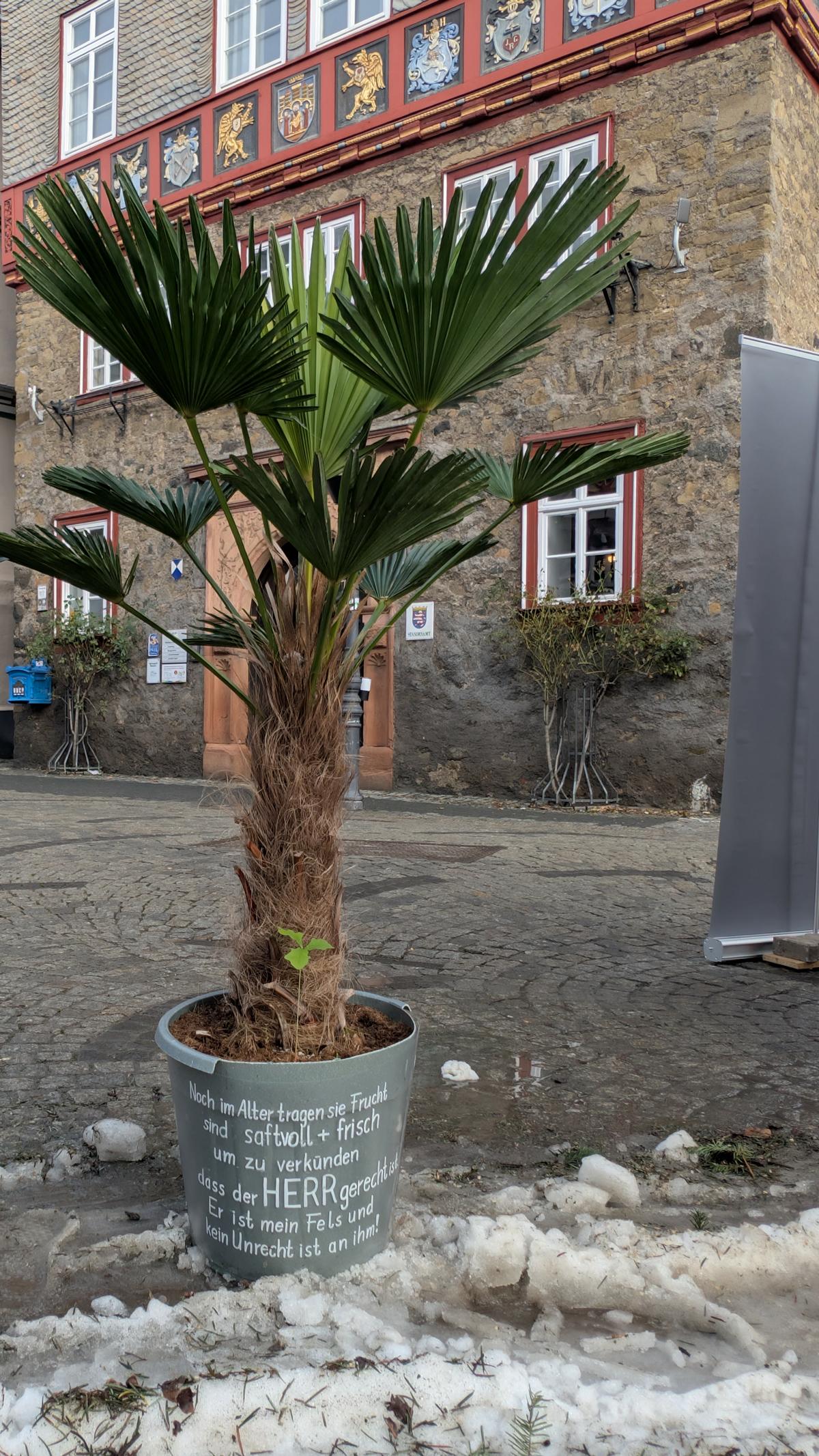 Büchertisch vom 16.01.2026 in Zusammenarbeit mit der Mission für Süd-Ost-Europa